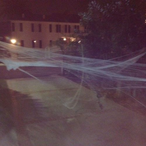 Giant Spider's web in Walk up.....