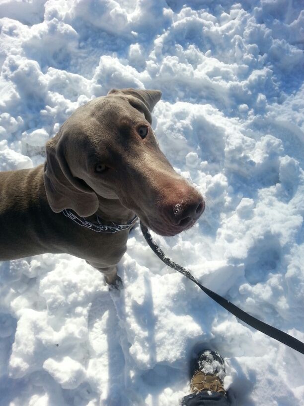 Axel