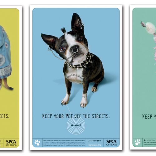 Integrated campaign for SPCA to drive pet owners t