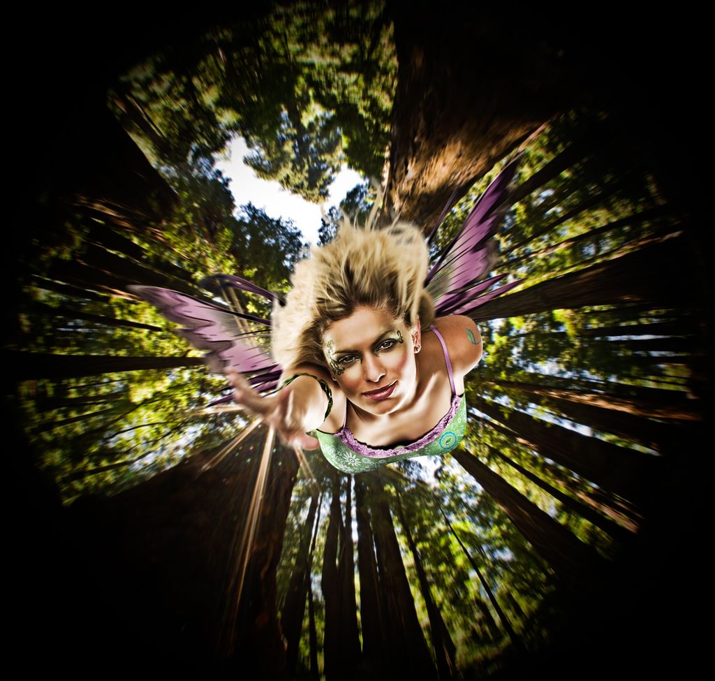 charlotte photographer http://seanbusher.com