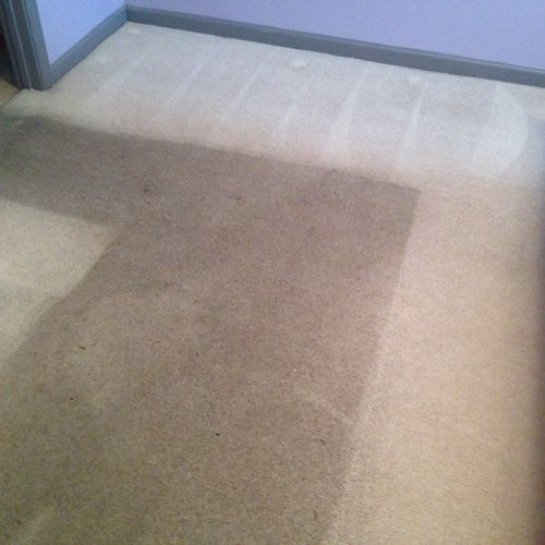 Carpet Cleaning during process