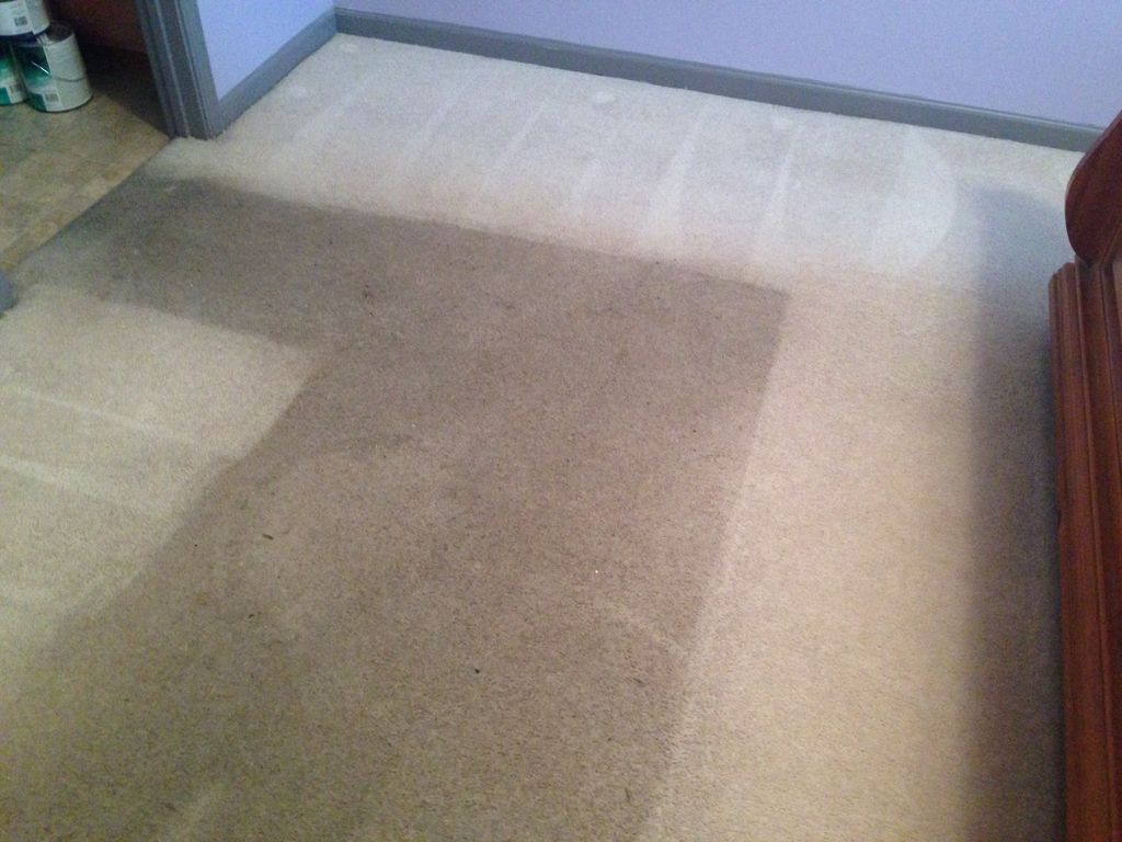 Carpet Cleaning during process
