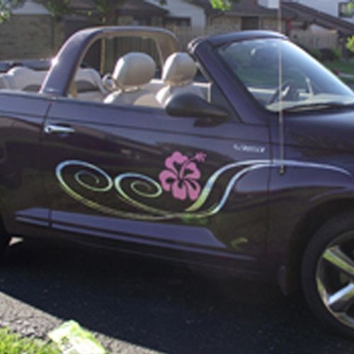 Check out this beauty! YES we do custom car vinyl.