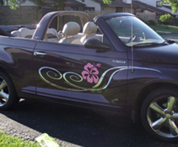 Check out this beauty! YES we do custom car vinyl.