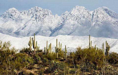 What? Snow in Tucson?