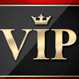 VIP Town Car & Limousine Service