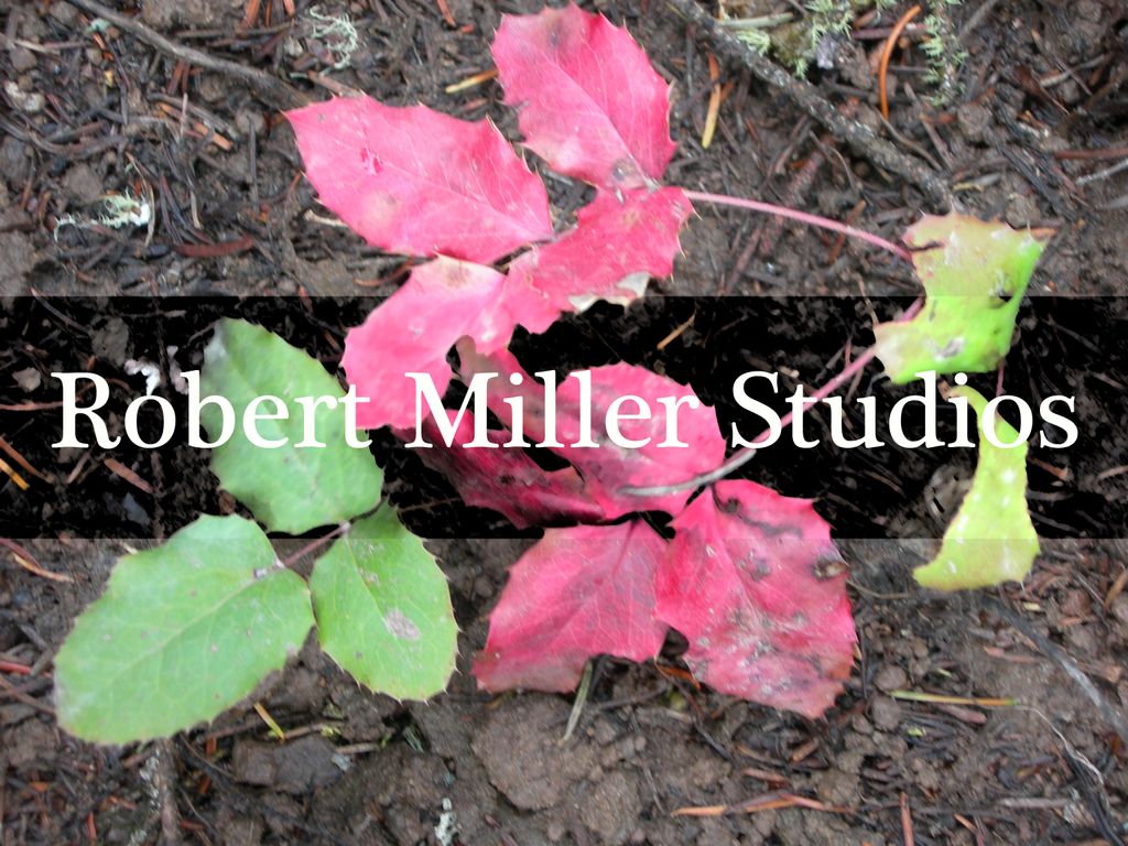 Robert Miller Studios