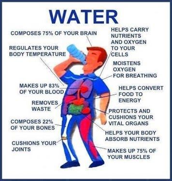 Water, a source needed to keep healthy