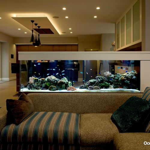 200 gallon Living Reef Room Divider Custom Aquariu