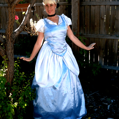 Princess Cinderella!