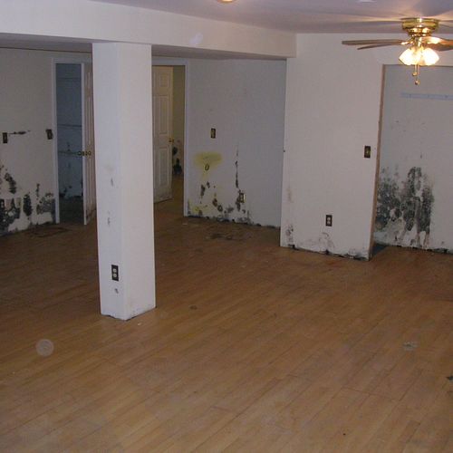 Toxic Mold Remediation- Before Picture