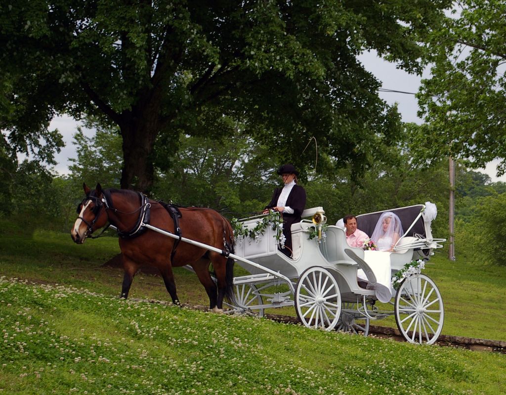 Late May by the lake.