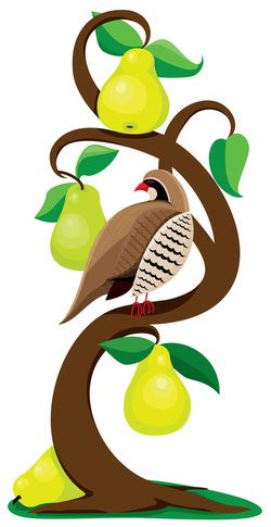 In A Pear Tree Logo