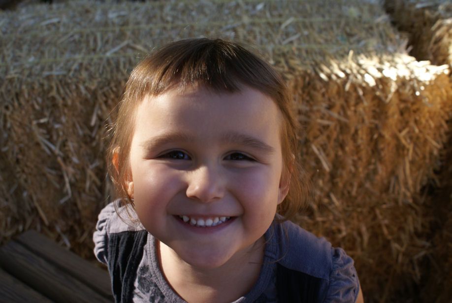 At Schnepf Farms.