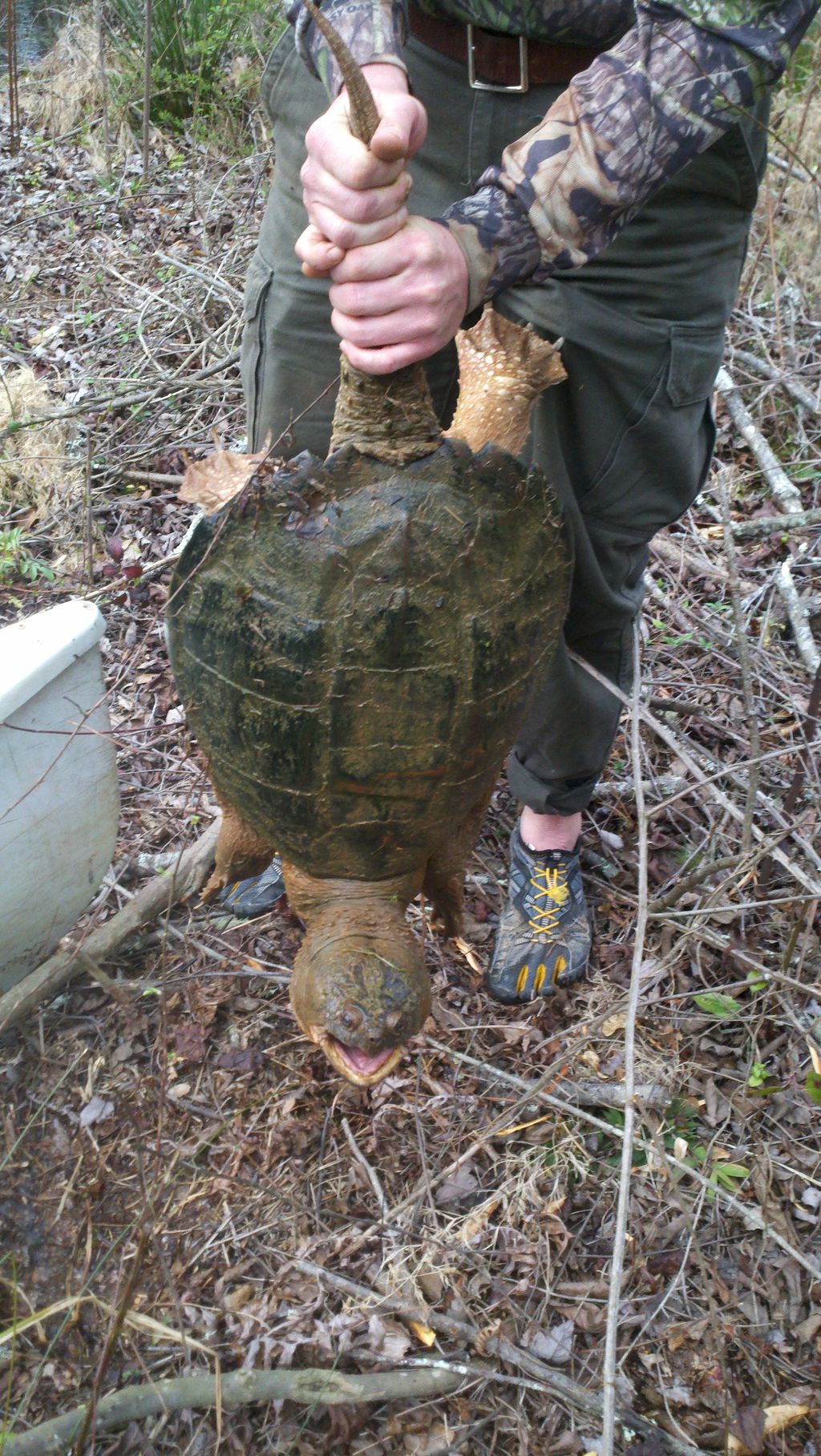Snapping Turtle Trapping Moreland, GA for more inf
