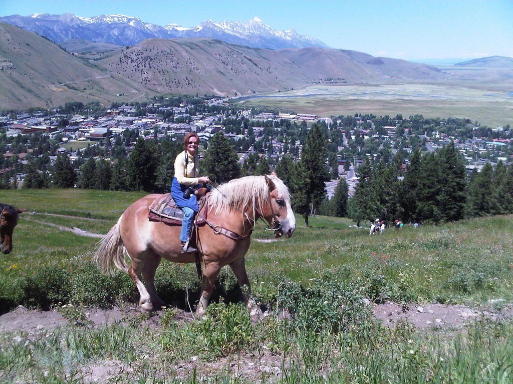 Susan Yoffa:

I could write a very long article re