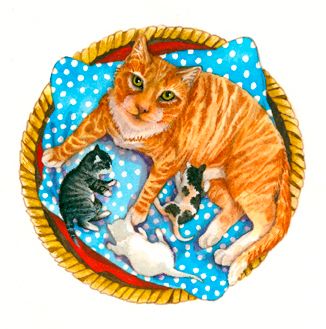 Mamma Cat and kittens/book illustration