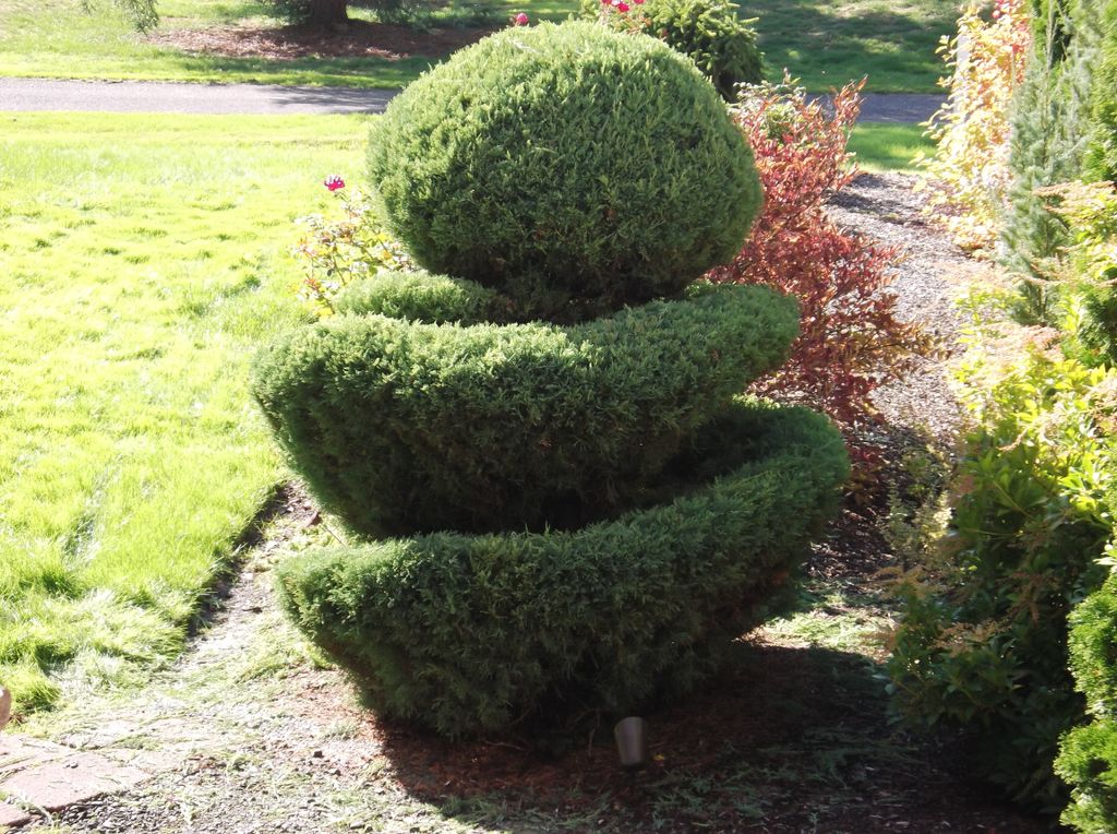 pruning