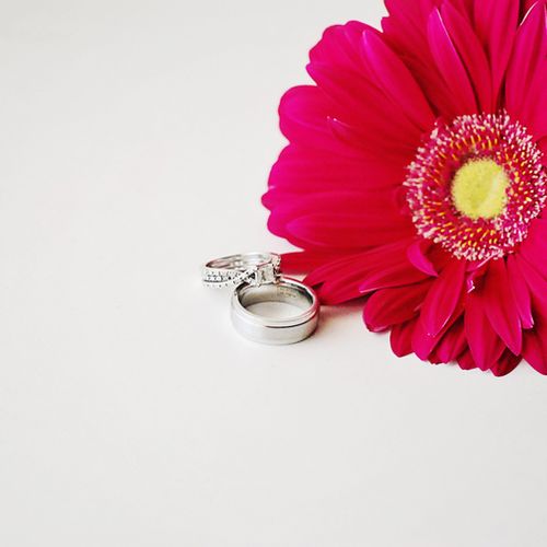 Gerber daisy and wedding bands in southern Califor