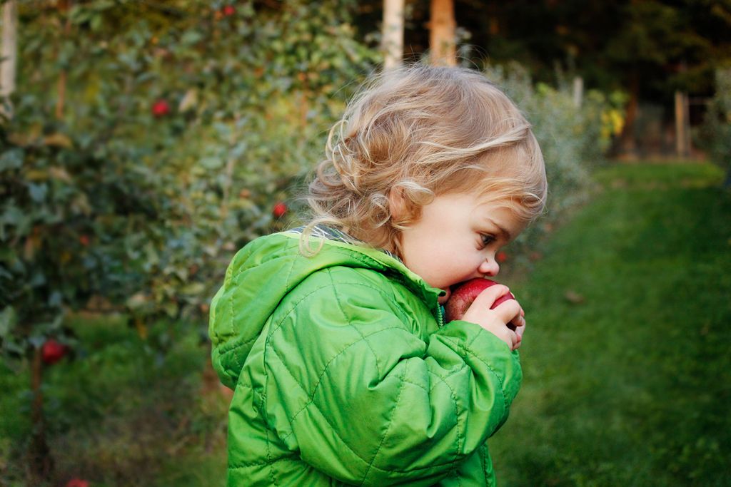 "An apple a day keeps the doctor away!"