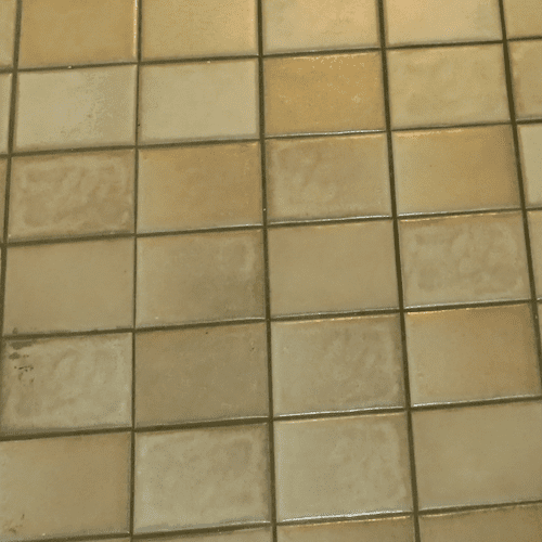 Before Color sealing of the grout. The grout was a
