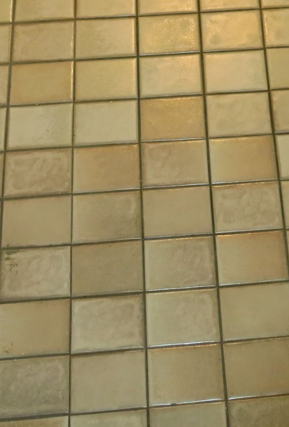 Before Color sealing of the grout. The grout was a