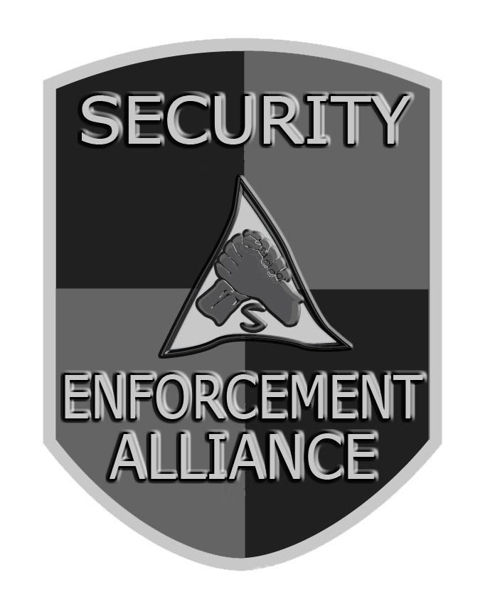 Security Enforcement Alliance