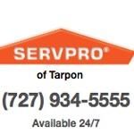 SERVPRO of Tarpon