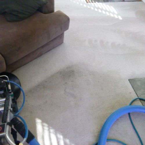 With filthy white carpet in this rental you can re
