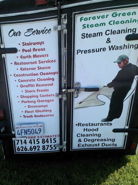 Forever Green Steam Cleaning Services