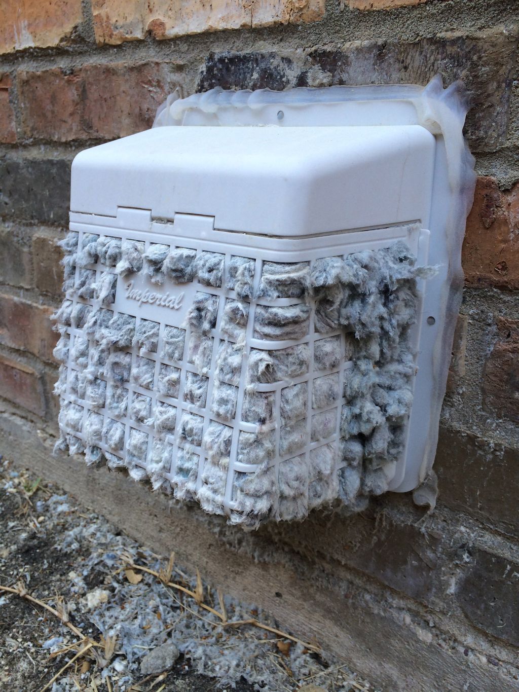 Pest guard are a great way to keep out rodents and