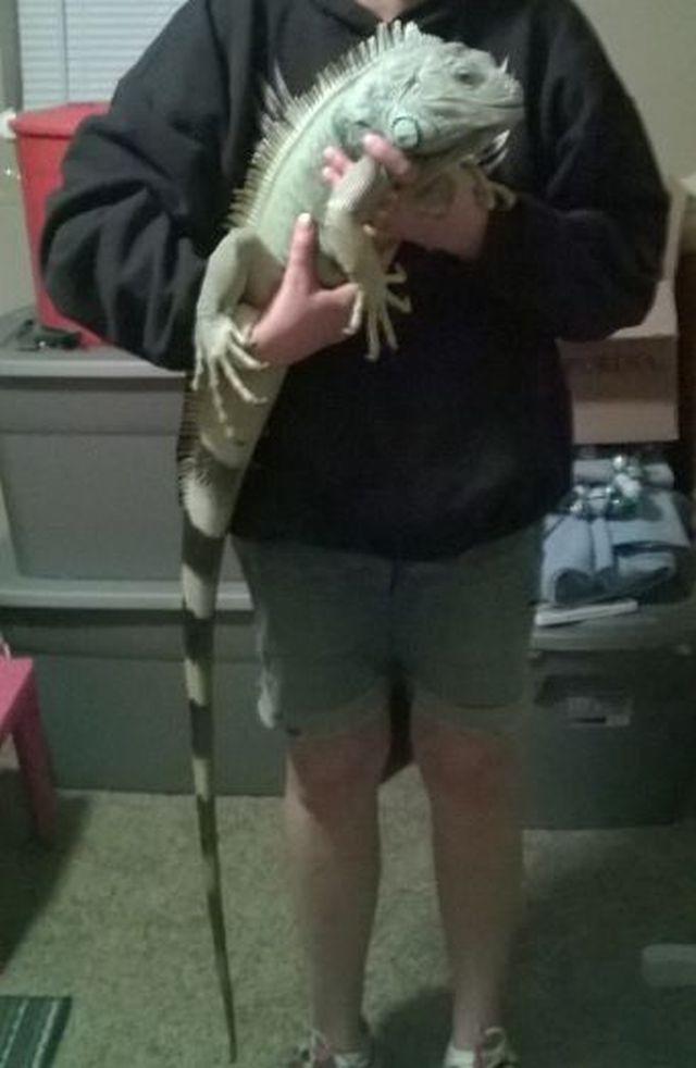 My favorite reptile!