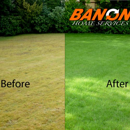 Banon Lawn Care Services
Green grass healthy and w