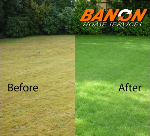 Banon Lawn Care Services
Green grass healthy and w