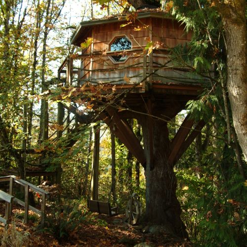 This is a custom treehouse that was built for clie