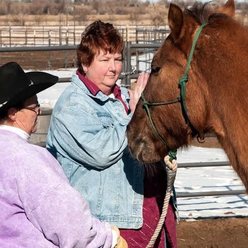 Healing a horse with Reiki