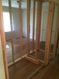 complete demo and remodel (new framing)