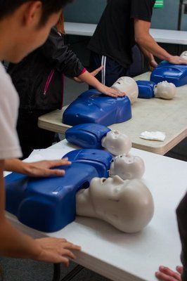 Learn hands-on CPR