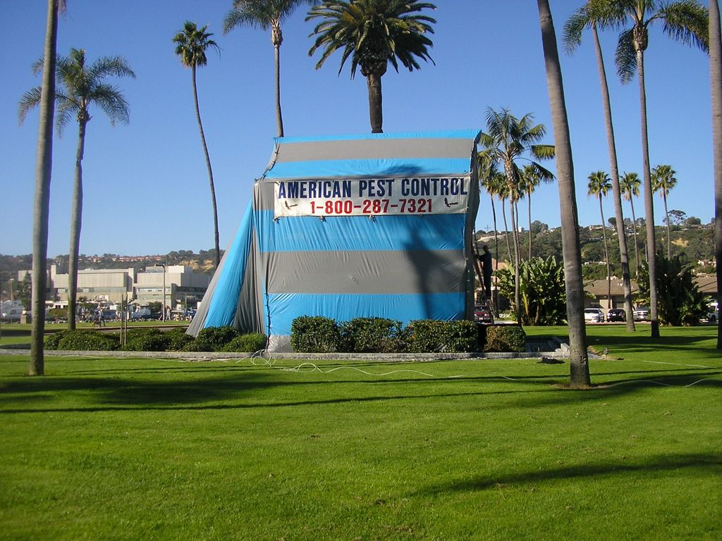 Friendship Bell Fumigation - San Diego, CA