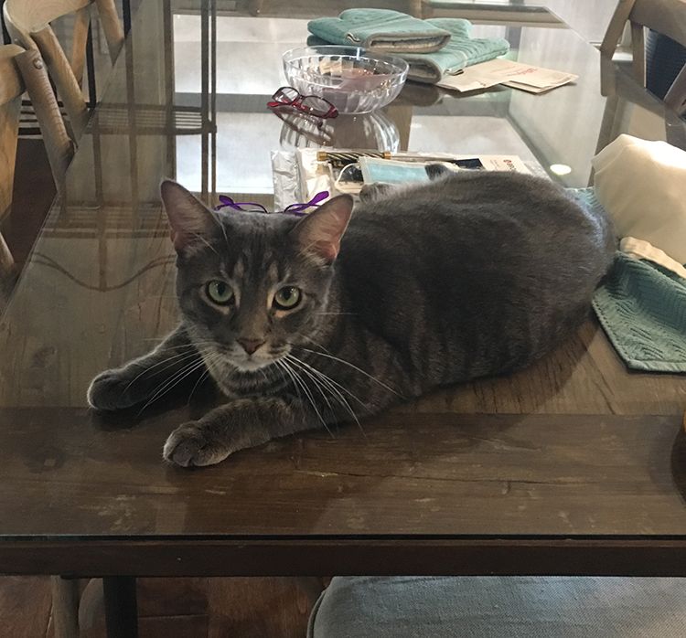Sebastian