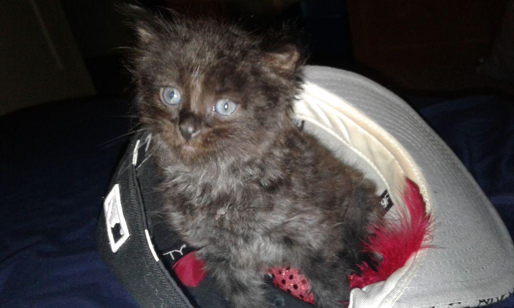 this is yoda after some food and some rest