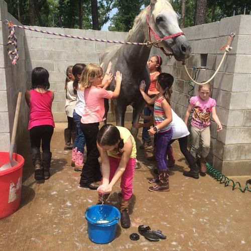 Camp girls washing ponies!
