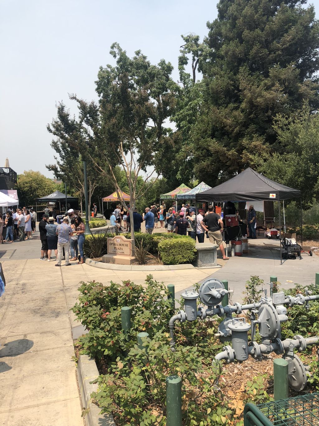 Beer Festival 