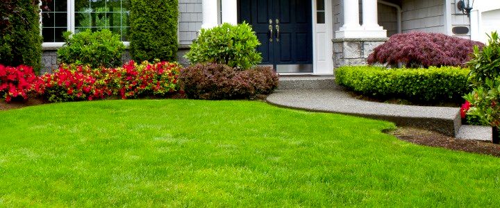 Overall Landscape Maintenance
