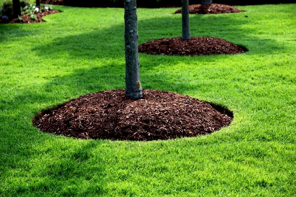 Mulching Service