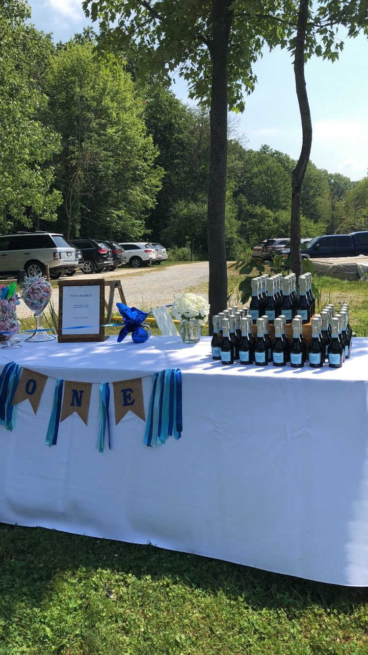 Styled first birthday party! 