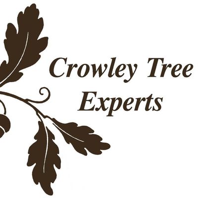 The 10 Best Tree Trimming Services In Woodstock Il 2021