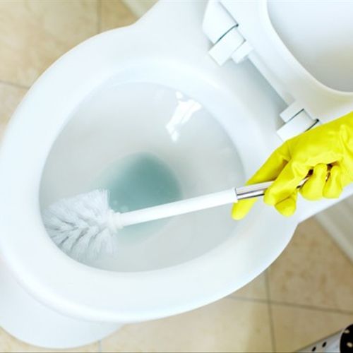 You probably want to clean your toilet once or twi