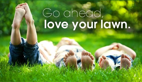 YOU DESERVE A NICE GREEN LAWN!