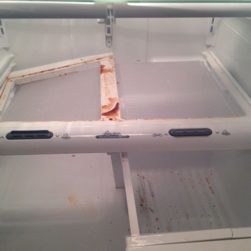 Before cleaning a fridge